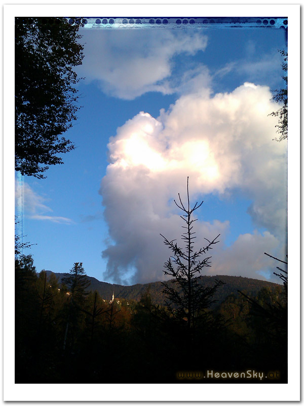 Fotografien WaldWesen Vorarlberg