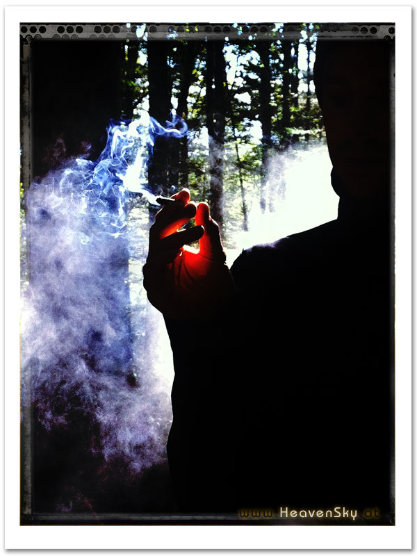 Fotografien WaldWesen Vorarlberg