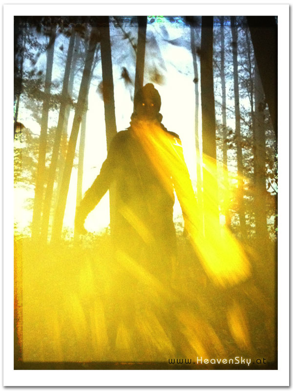 Fotografien WaldWesen Vorarlberg