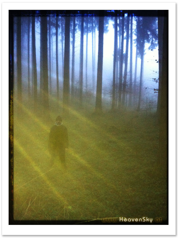 Fotografien WaldWesen Vorarlberg