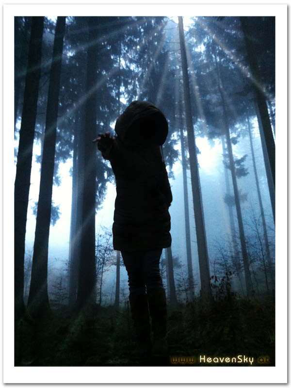 Fotografien WaldWesen Vorarlberg