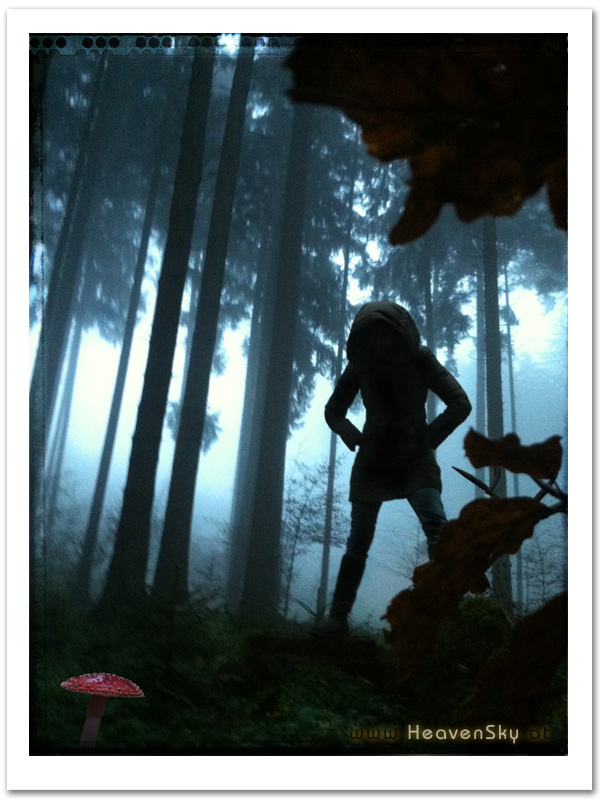 Fotografien WaldWesen Vorarlberg