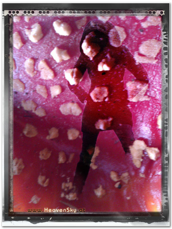 Fotografien WaldWesen Vorarlberg