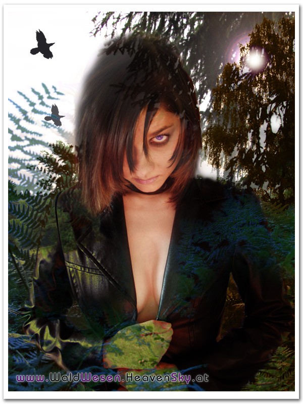 WaldWesen Fotografien