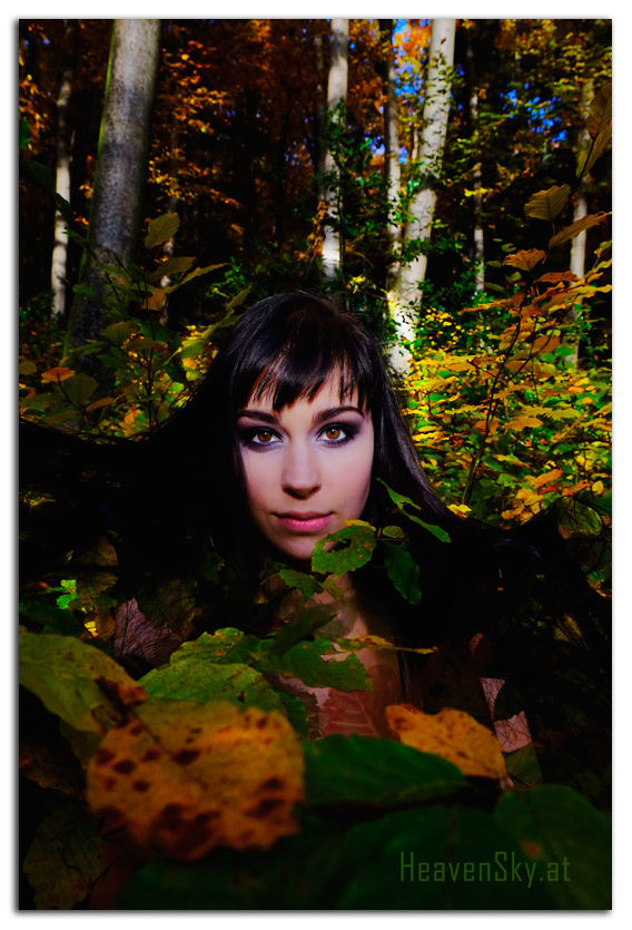 WaldWesen Fotografien