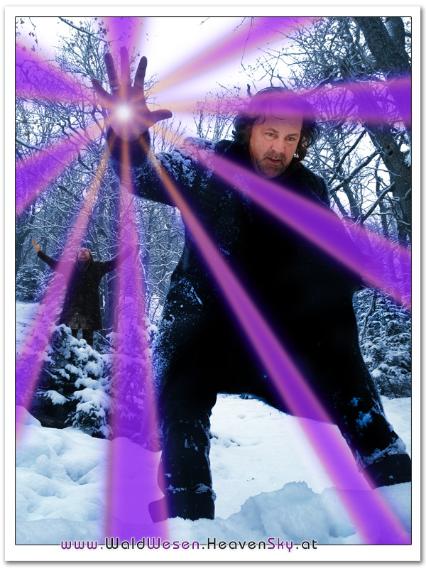 WaldWesen Fotografien