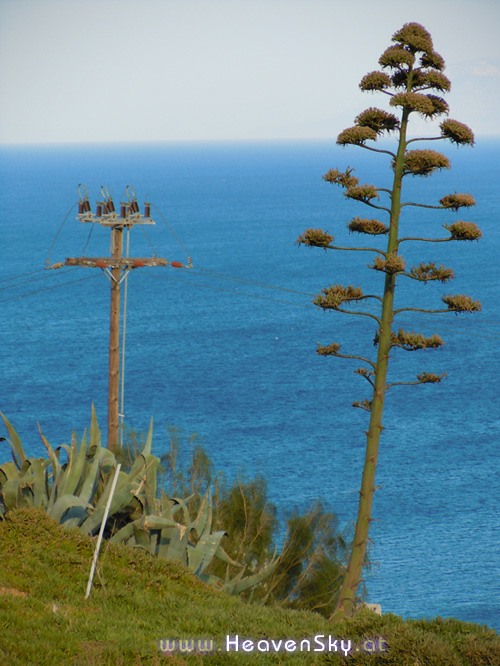 Weihnachten - Christmas