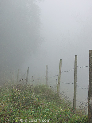 Die Grenzen sind unklar - Fotografie Fotos Landschaftsfotos abstrakt Fraxern Natur Nebel