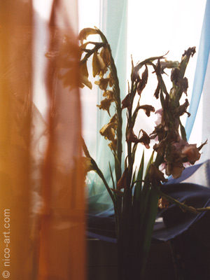 Verg&auml;nglichkeit